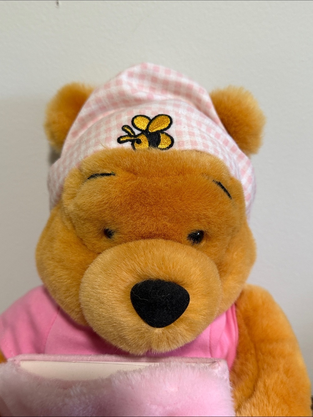 Winnie the Pooh “It's A Girl” Disney Stuffed Plush Toy Picture Photo Frame - Picture 3 of 9